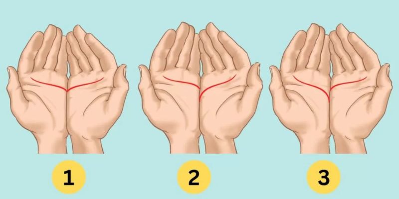 The Heart Line: A Guide to Your Emotional Style and Relationships