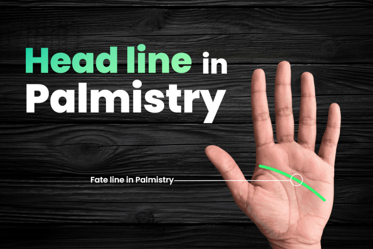 head-line-768x513